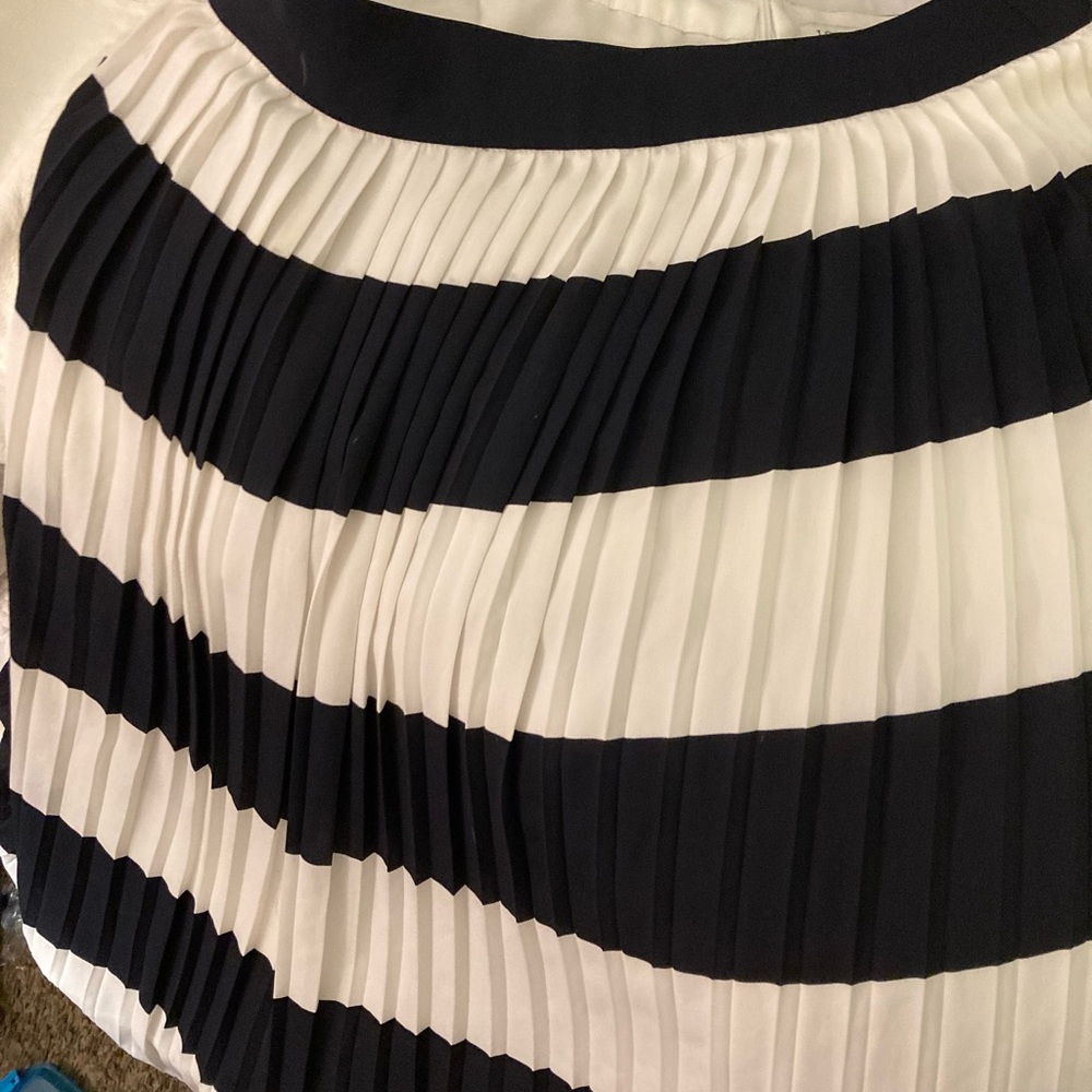 J.Crew Navy Blue and White Apparel